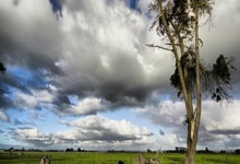 竞技宝：以美两国“政策对表” 令加沙局势“更加复杂”.